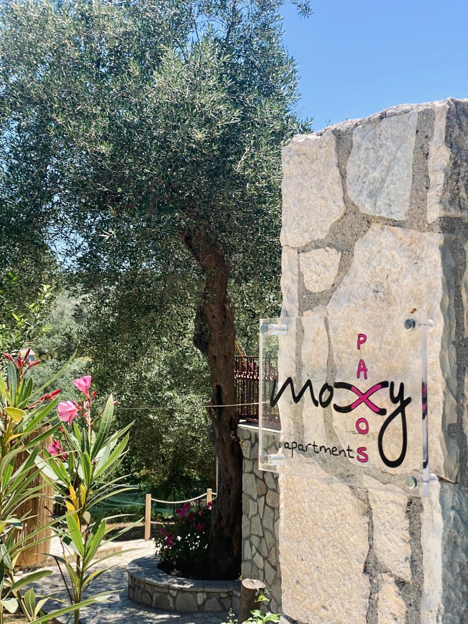 Moxy Paxos - Cozy * Gaios